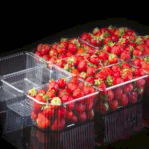 9 GÖZLÜ ÇİLEK ŞALESİ